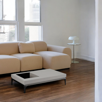 【展示現品】PITFALL TABLE