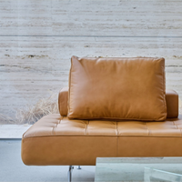 Otium Daybed Sofa - Leather
