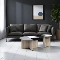 Marble coffee table