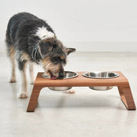 Desco Dog Feeder
