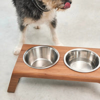 Desco Dog Feeder